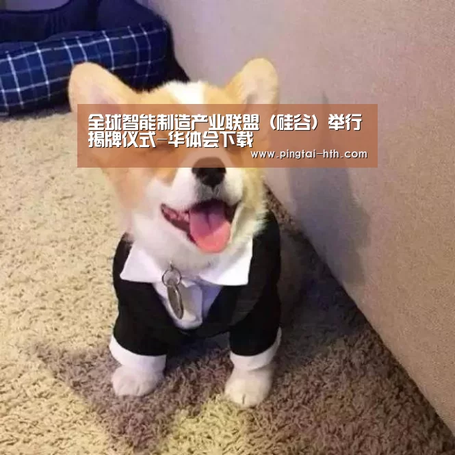 华体会下载