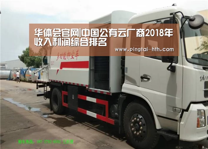 华体会官网|中国公有云厂商2018年收入利润综合排名(图3) 华体会APP下载