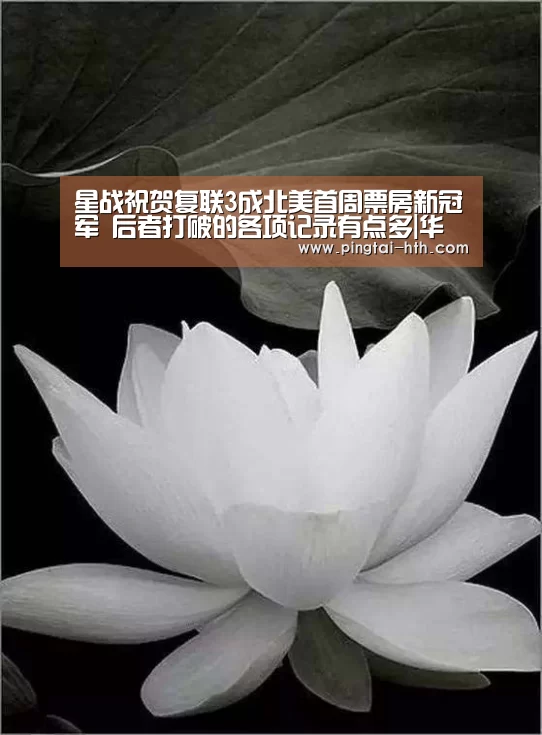 星战祝贺复联3成北美首周票房新冠军 后者打破的各项记录有点多|华体会APP下载(图2) hth中国