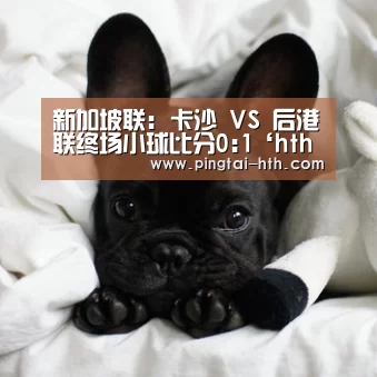 华体会下载