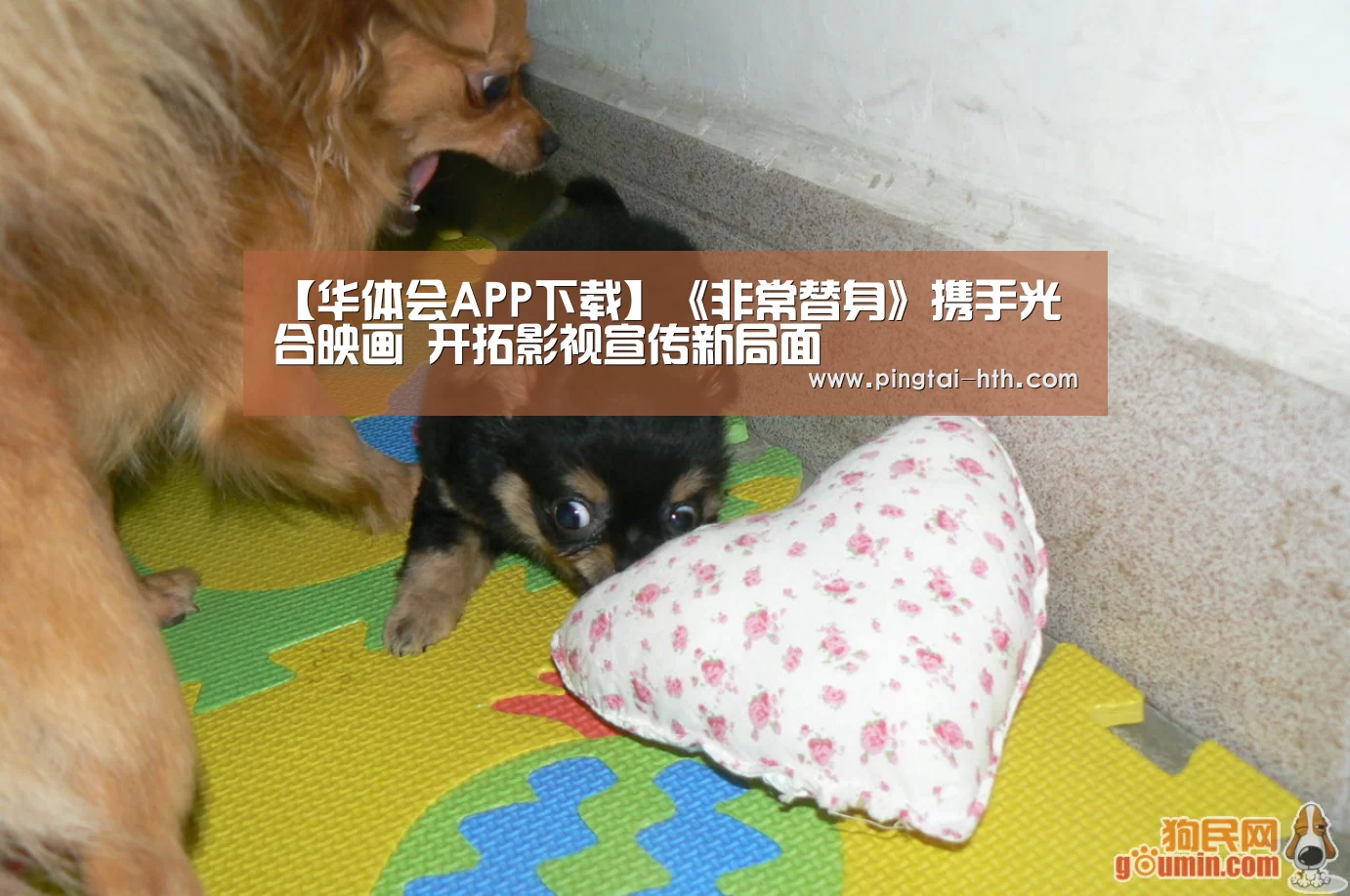 华体会下载