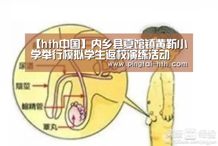 【hth中国】内乡县夏馆镇黄靳小学举行模拟学生返校演练活动(图2) 华体会下载