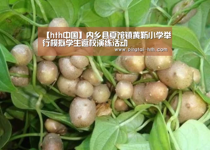 【hth中国】内乡县夏馆镇黄靳小学举行模拟学生返校演练活动(图3) 华体会下载
