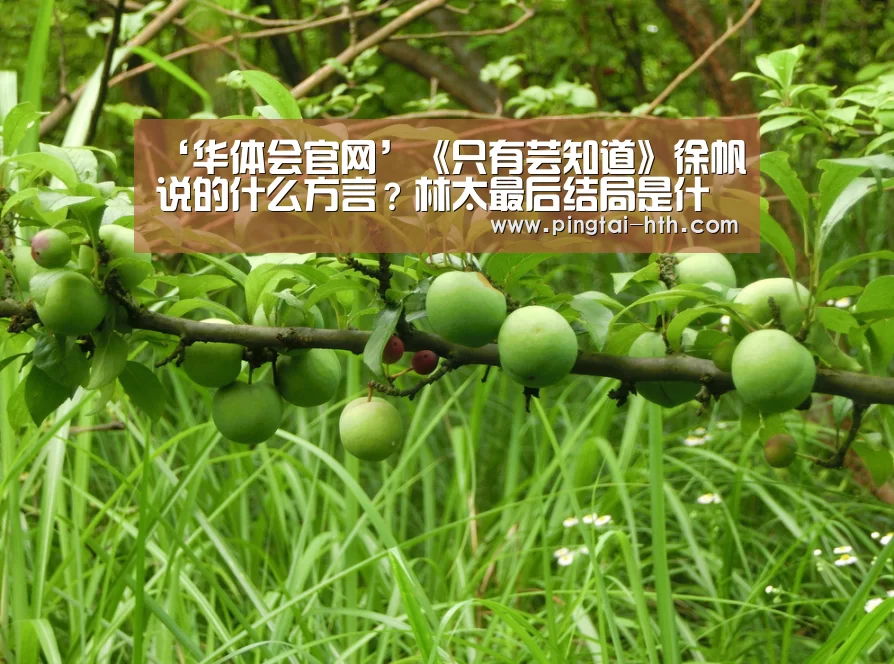华体会APP下载