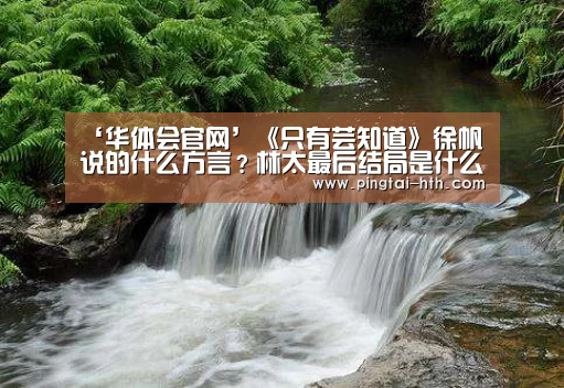 华体会APP下载