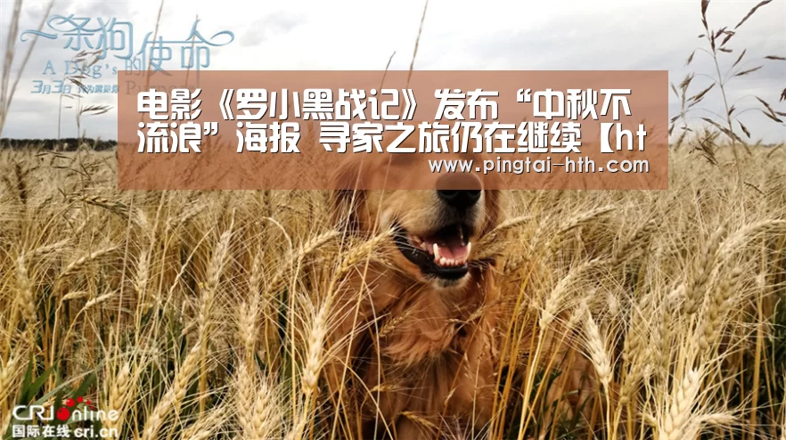 电影《罗小黑战记》发布“中秋不流浪”海报 寻家之旅仍在继续【hth中国】