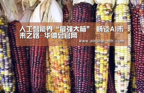 华体会APP下载