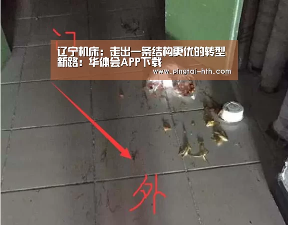 华体会下载